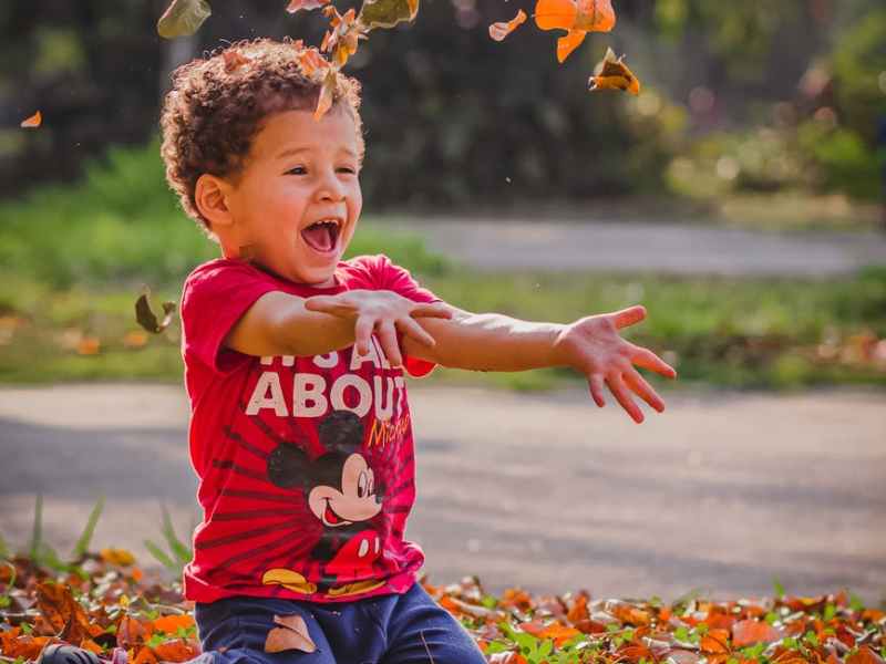 Outdoor Tipps mit Kids – Herbst